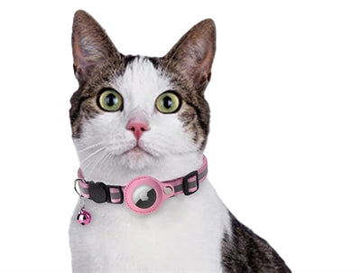 Croci Halsband Kat Met Tag Houder Roze 19-26X1,5 Cm
